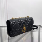 Christian Dior Miss Daisy Mini Bag Black